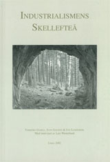 Industrialismens Skellefteå